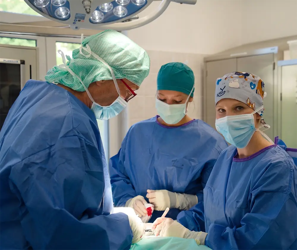 Nasen-Atemwegschirurgie